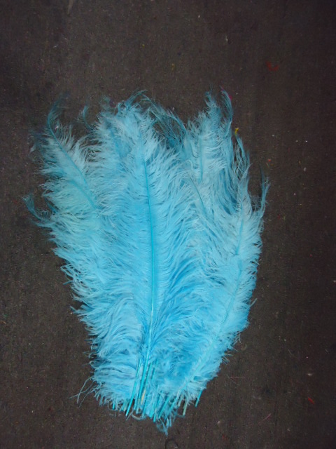 Ostrich Feather Plume 18-24 INCH AQUA BLUE